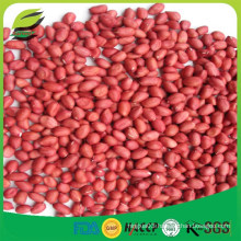 China raw red skin peanut kernel with cheap price